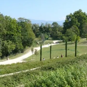 Copie de Bois des naix