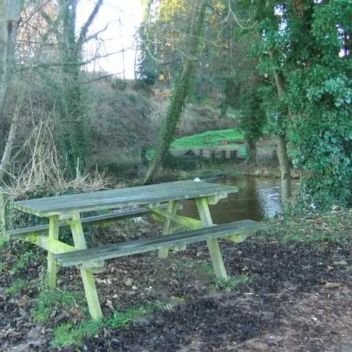 Aire de pique nique La Rivière © mmorelli