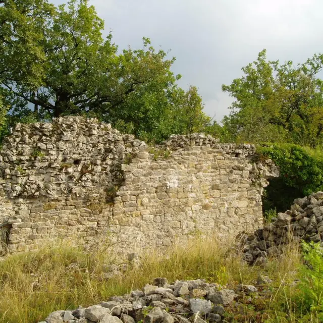 Site de Châteauneuf à Songieu