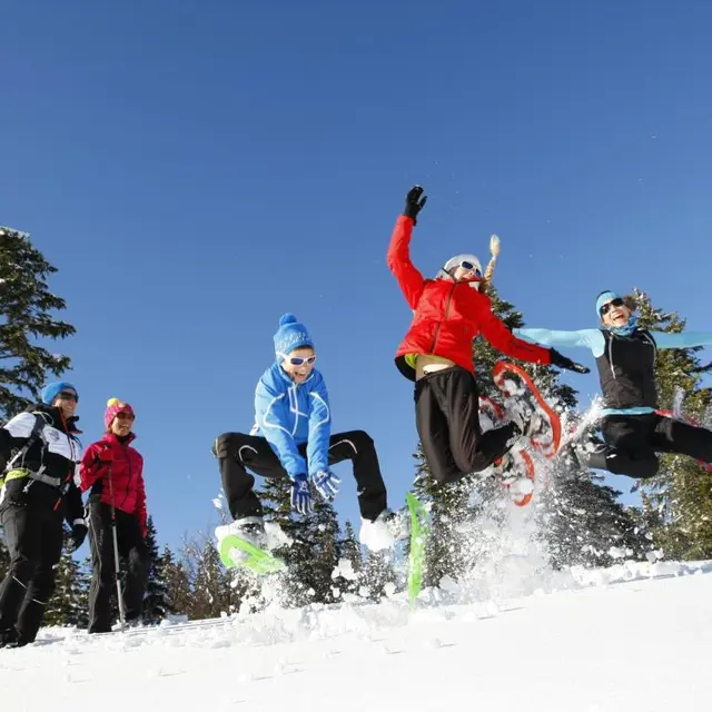 Raquettes à neige à la Coche