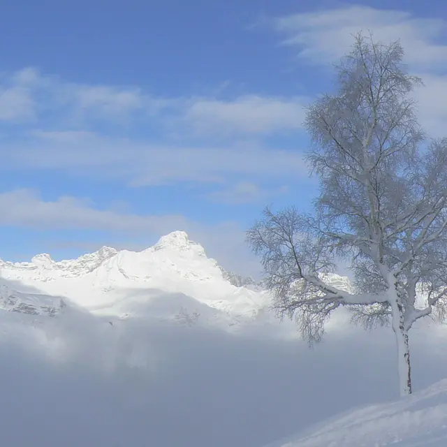 Paysage hiver