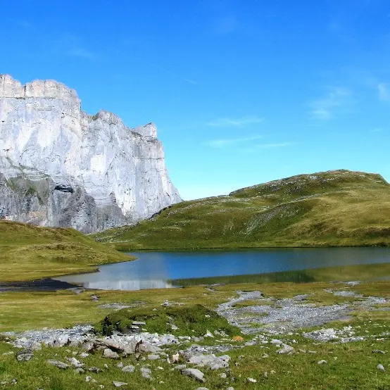 anterne