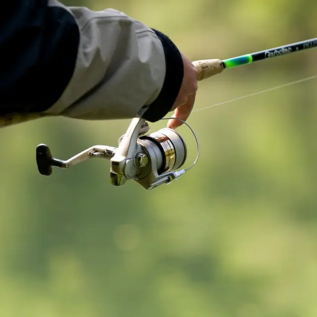 Pêche