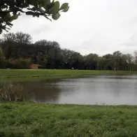 Etang des Carronnières