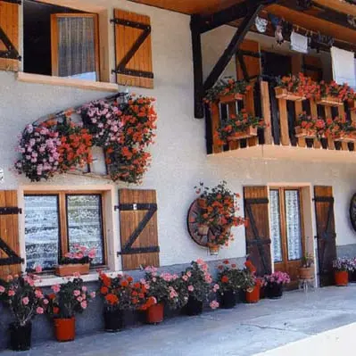 gallay_2009_internet