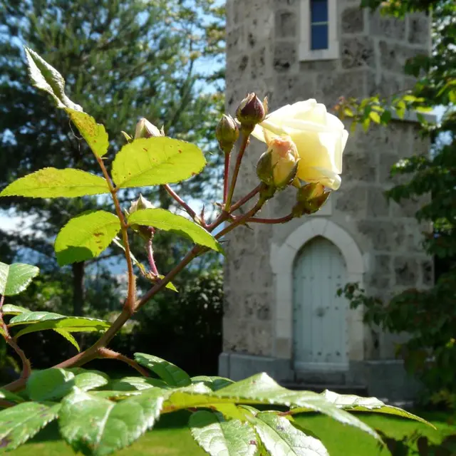 P1000339.jpg