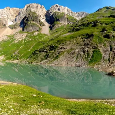 Lac vogealle
