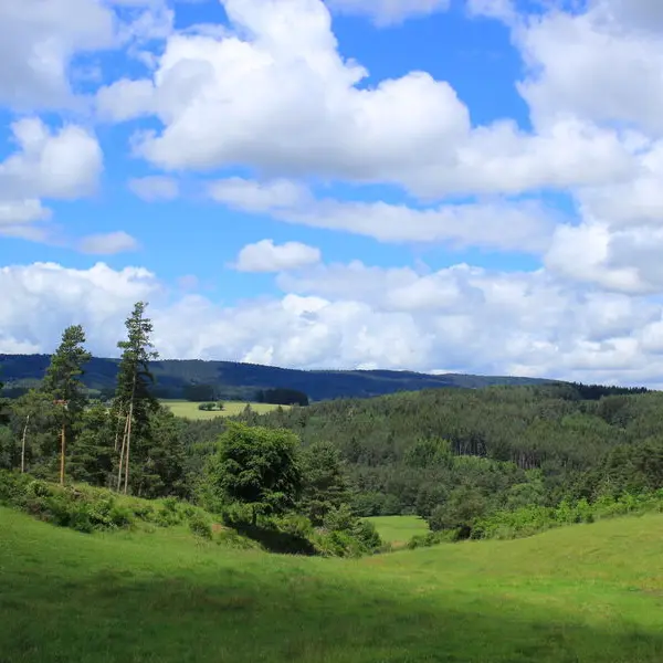 Séjour au cœur de l'espace trail massif du Forez