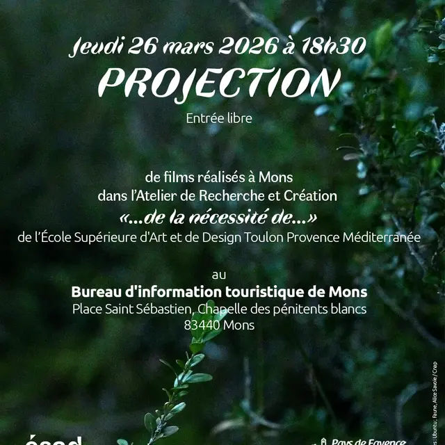 Projection d'Art_Mons