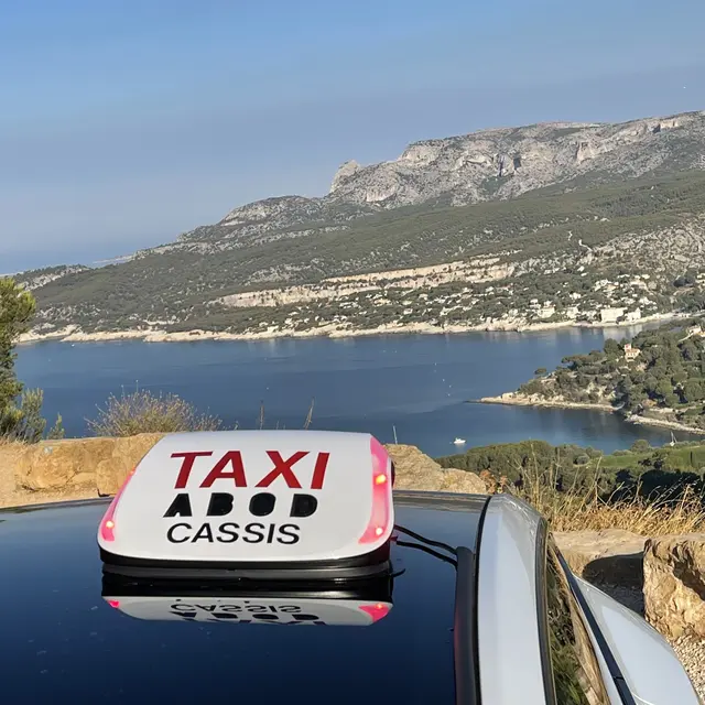 Taxicassispascal