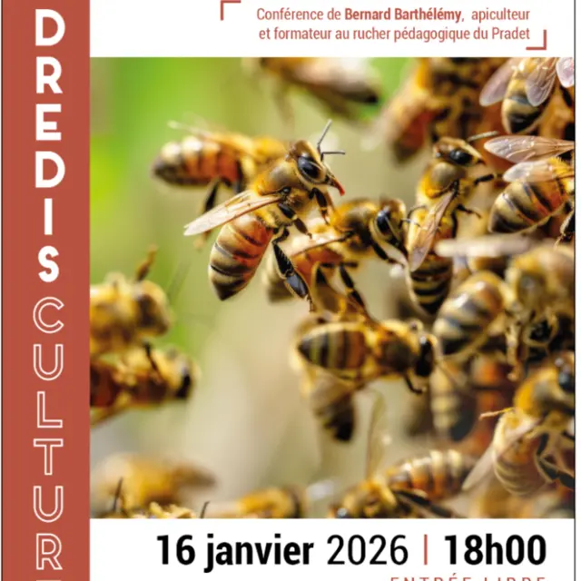 Les vendredis culturels - Les abeilles sentinelles  de l'environnement_Le Lavandou