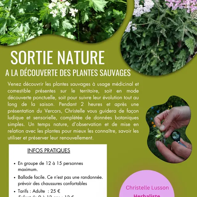 A la découverte des plantes sauvages_Corrençon-en-Vercors