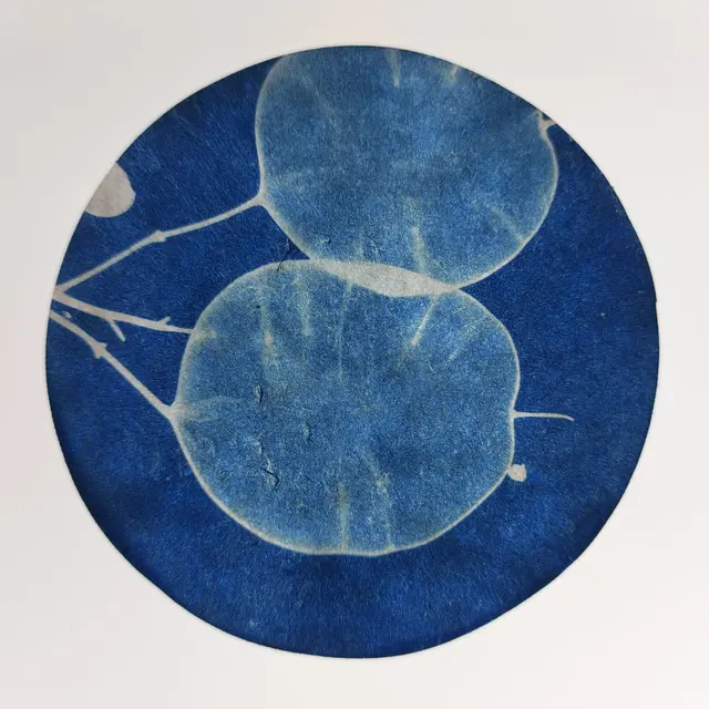 Exposition  Art, science et végétal_Ancelle