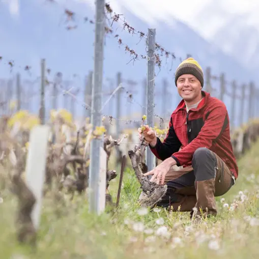 Soirée dégustation avec le vigneron Guillaume Bodin_La Roche-sur-Foron