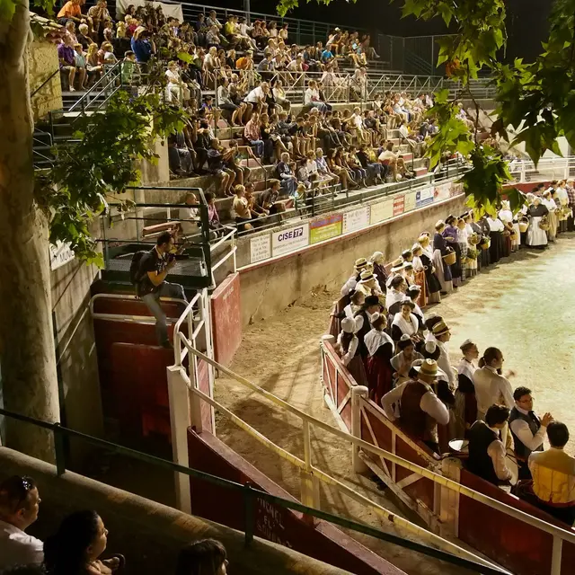 Les Arènes de Fontvieille