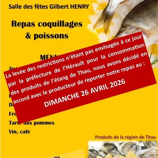 Repas: coquillages et poissons_Rougiers