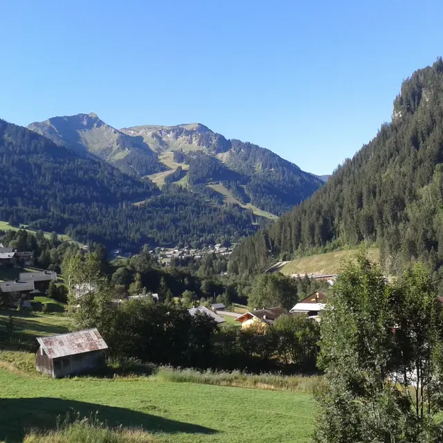 2 pièces - Chaumière des Neiges