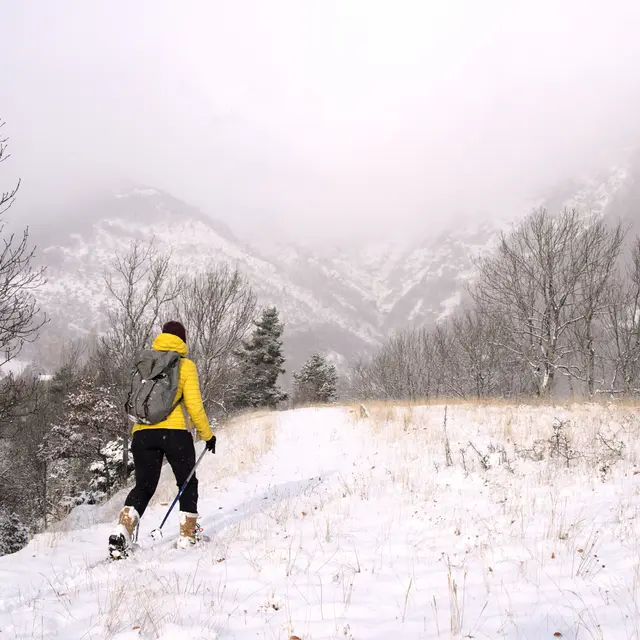 Initiation raquettes avec Altimood