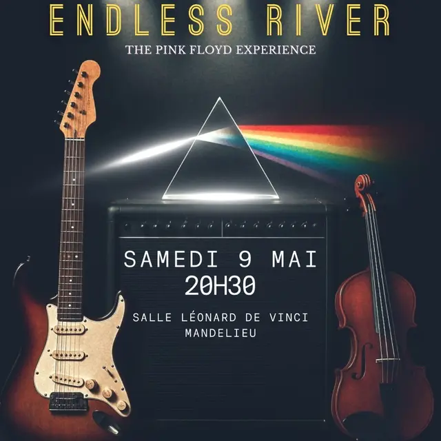 Endless River - The Pink Floyd Experience - 2026_Mandelieu-La Napoule
