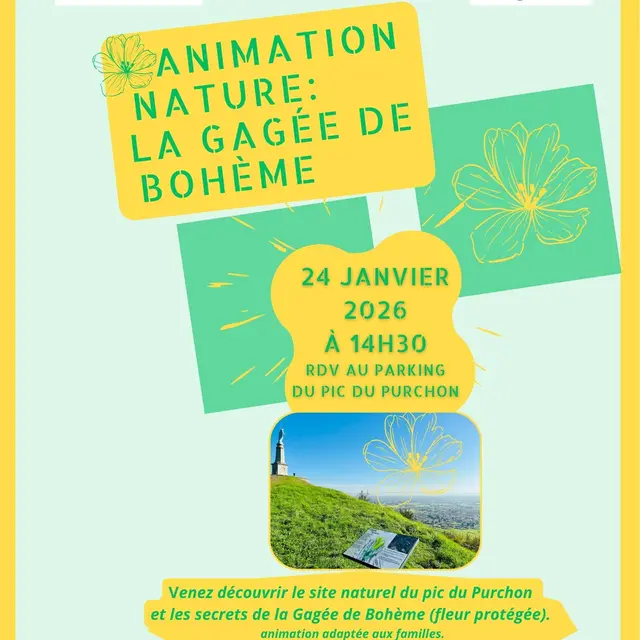 Sortie nature commentée Piton basaltique et gagée de Bohème_Champdieu