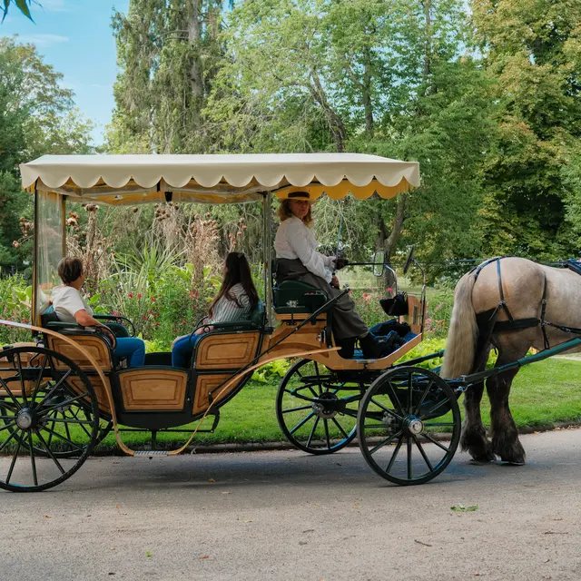 promenade en calèche vis-à-vis