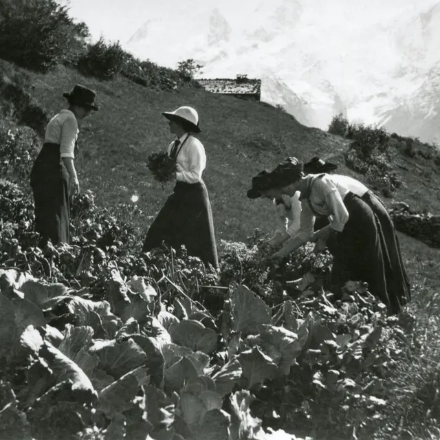 Atelier : Potager de papier_Les Houches