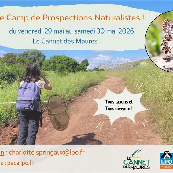 Camps de Prospections Naturalistes_Le Cannet-des-Maures