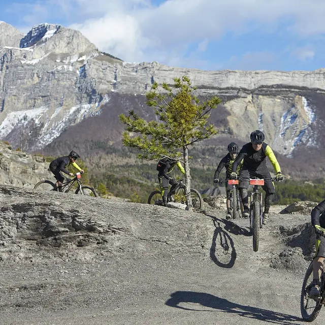 Randuro des Terres Noires