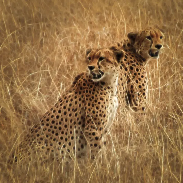Rencontre en terre africaine_Fontanil-Cornillon