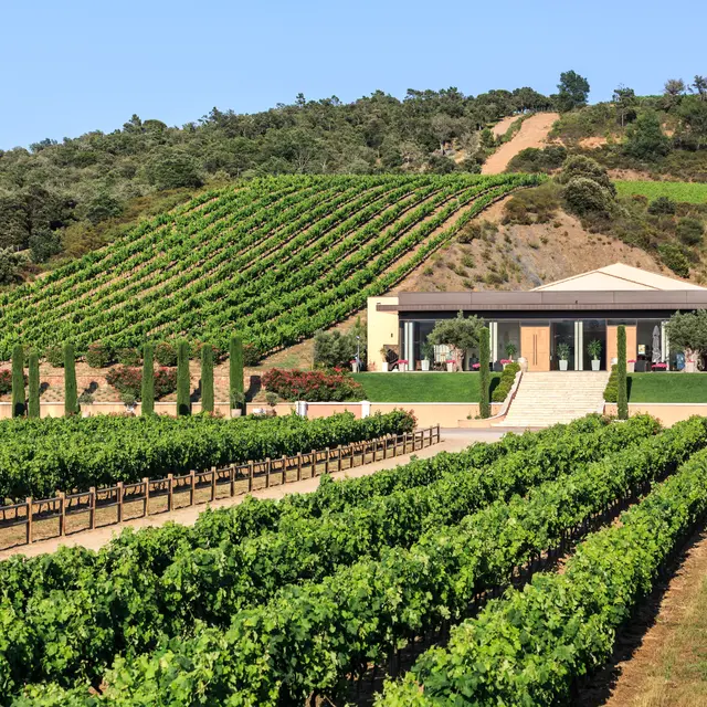 Théâtre dans les vignes : Cul et Chemise_Roquebrune-sur-Argens
