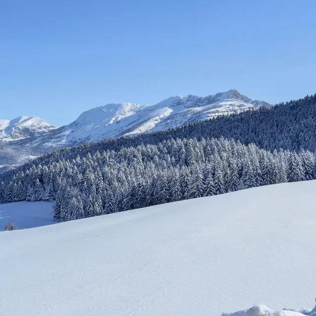 Col du Liorin