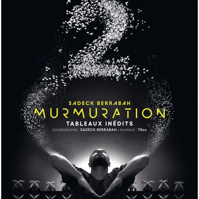 MURMURATION Level 2_Megève