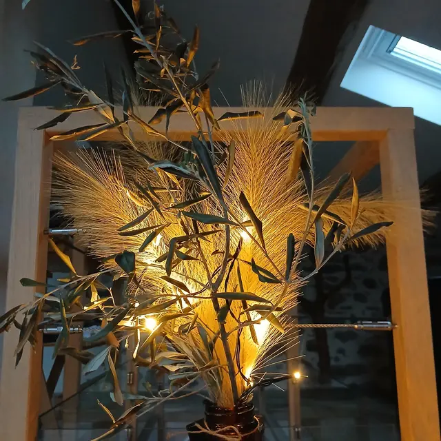 Gîte du Saro_Chabestan