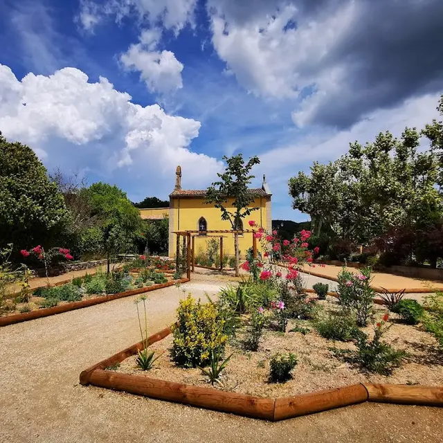 Découverte des plantes sauvages et médicinales_Collobrières