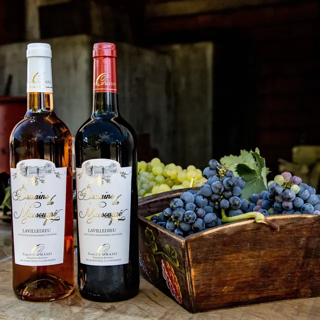 Domaine de Massougné