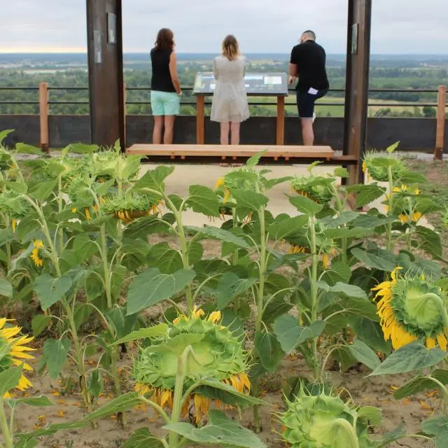Point de vue de Bourret