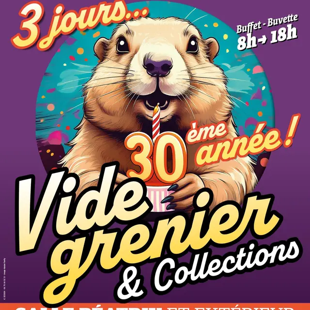 Vide Grenier & Collections_Châtillon-sur-Cluses