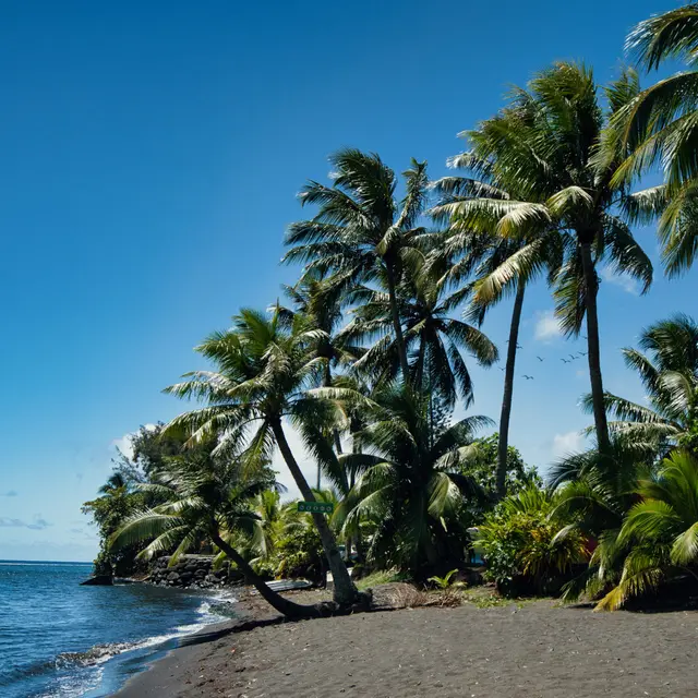 Tahiti   Pointe Tautira paysage - Tahiti Tourisme