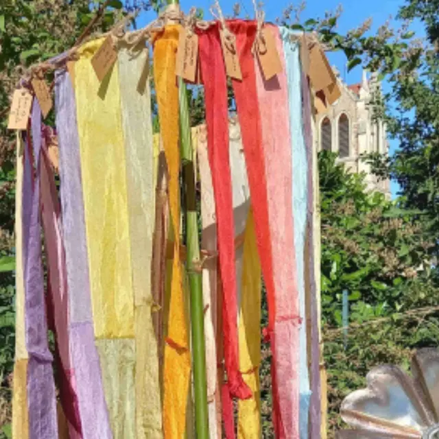 Visite commentée et démonstration de teinture végétale_Essertines-en-Donzy