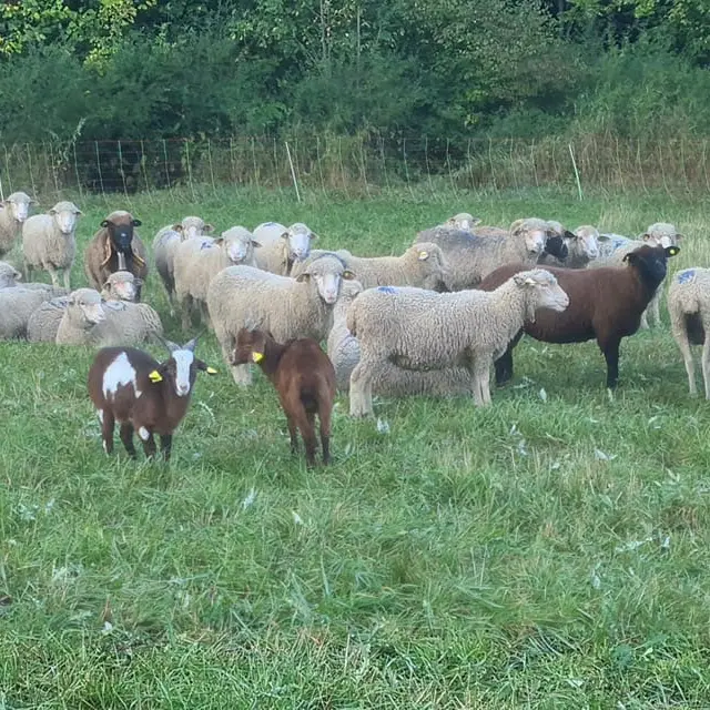 Ferme du Dormillouse