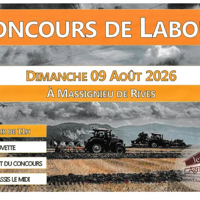 Concours de labour_Massignieu-de-Rives