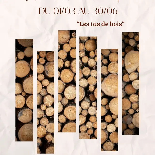 Exposition photos, Tas de bois