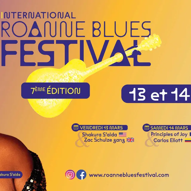 Roanne Blues Festival_Roanne
