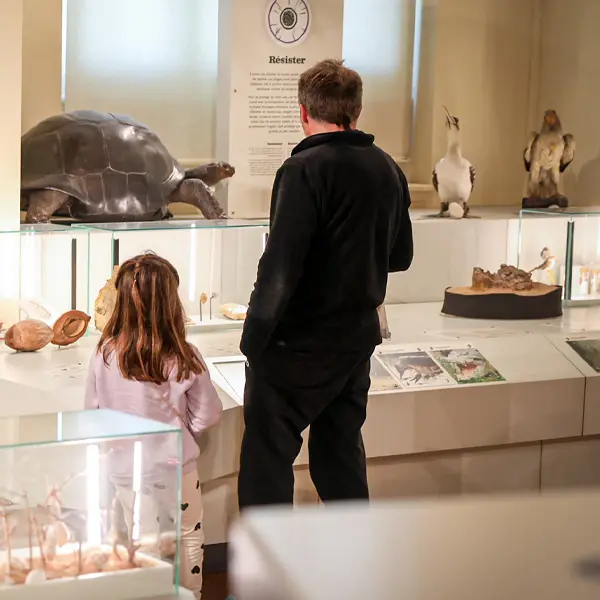 Les mercredis de l'Agora_Marseille