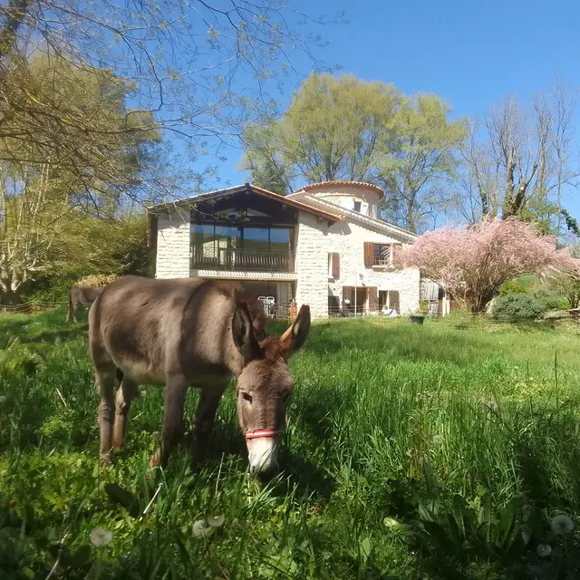 Les Favouilles - Chambres d'hôtes_Dauphin