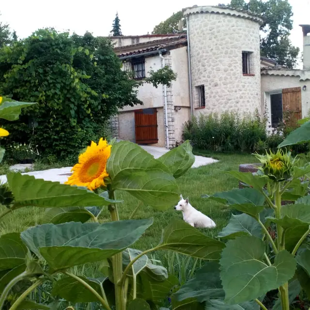 Gîte Le Clôt de Félines