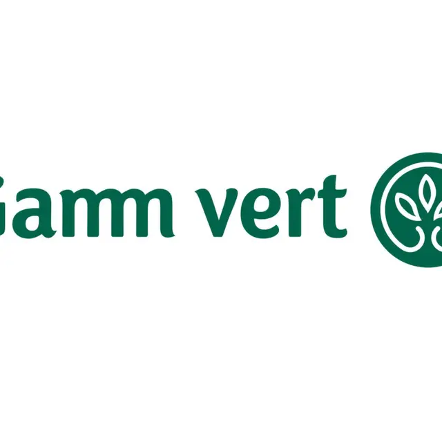 GAMM VERT