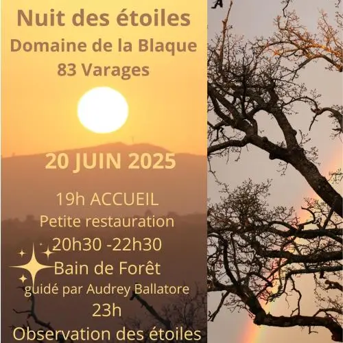 Atelier : Bain de forêt et cérémonie du thé | Nuit des forêts_Varages