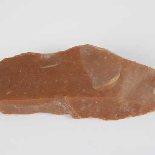 La Préhistoire au musée... - Fête de la science_Lezoux