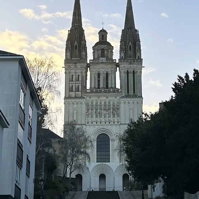 Visite découverte de la galerie Kengo Kuma et de la place Monseigneur-Chappoulie_Angers